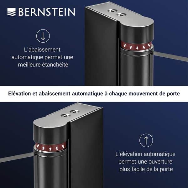 BERNSTEIN - Cabine de douche d'angle 80x80x195cm porte battante verre fumé trempé ESG 8mm anticalcaire, Profilés Noir mat, Charnières réversibles gauche/droite - NT416