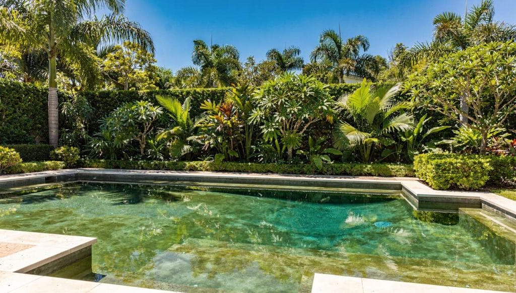 Eau verte dans votre piscine : solutions et traitements