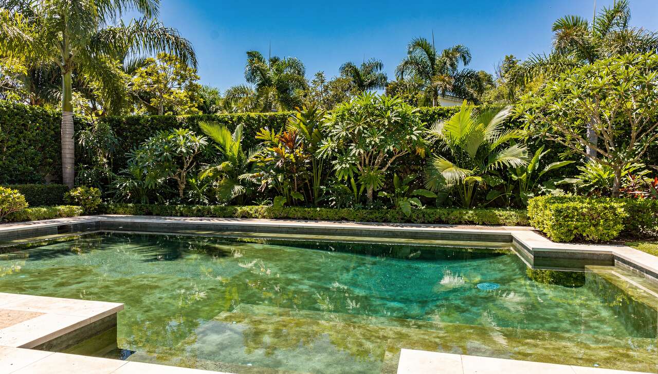 Eau verte dans votre piscine : solutions et traitements